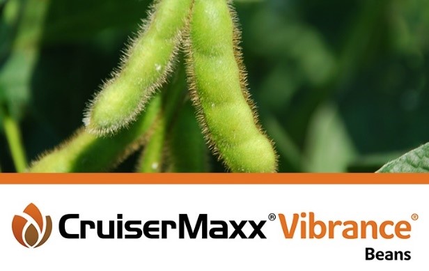 CruiserMaxx Beans with Vibrance